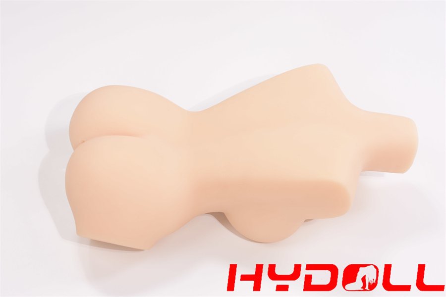 torso